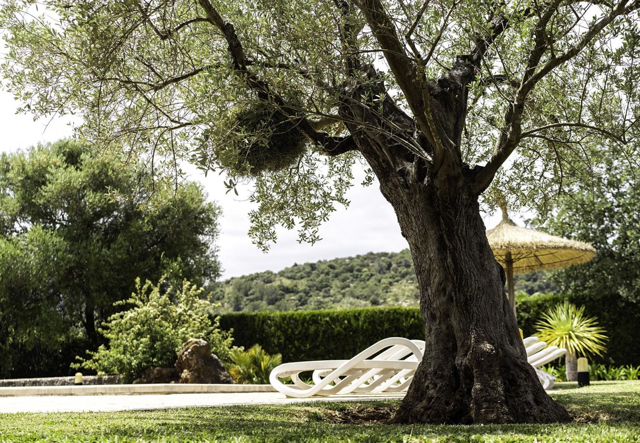 Villa en Pollensa - BUTXACO. Una de las más populares, y con razón