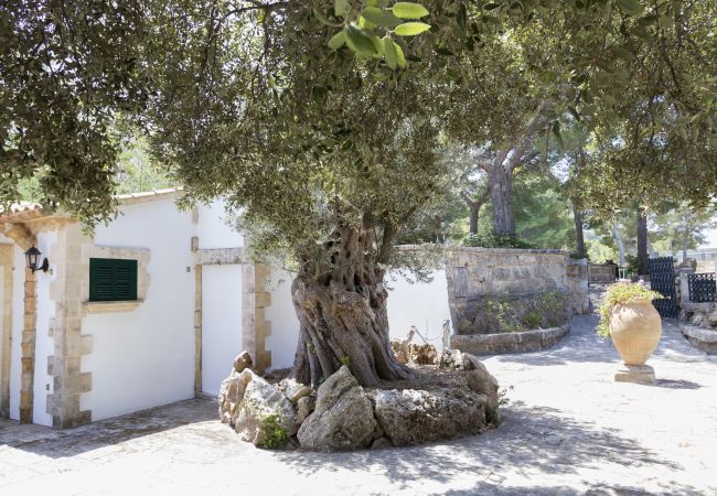 Villa en Cala San Vicente - GRAN VORAMAR CALA. 200 m2 de piscina y 6 habitaciones Villa en Cala San Vicente - GRAN VORAMAR CALA. 200 m2 de piscina y 6 habitaciones