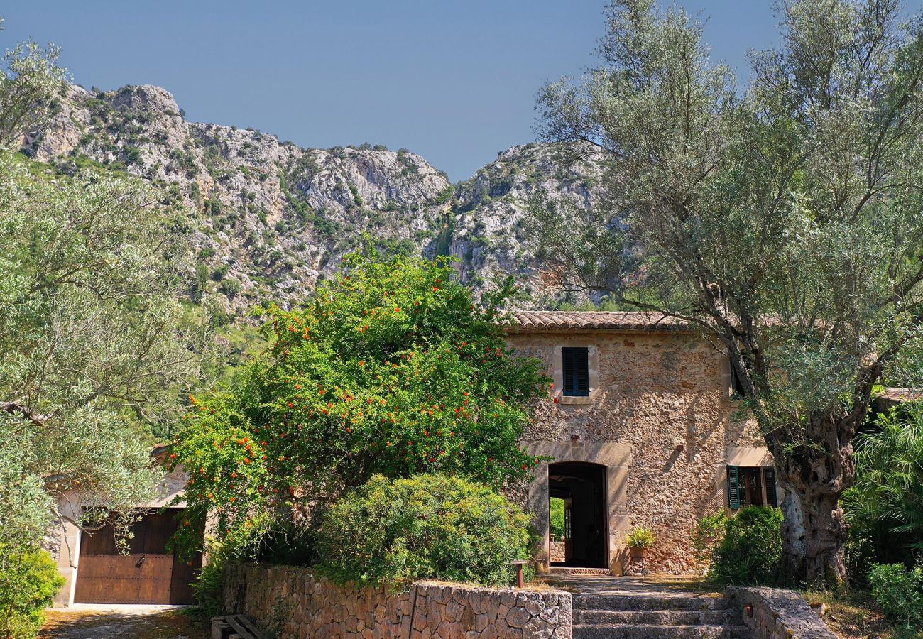 Villa en Pollensa - PASCOL. Villa de más 250 años en un entorno espectacular