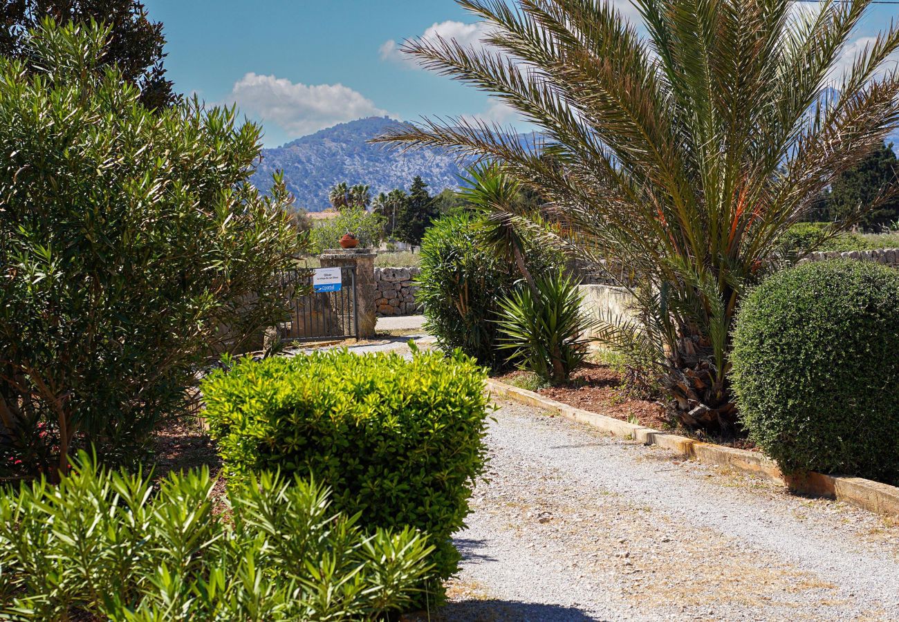 Villa en Puerto Pollensa - OLIVER. Casa de campo situada entre Pollensa y Pto. Pollensa