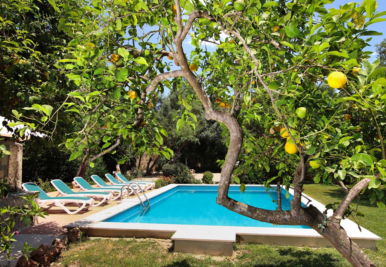 Villa en Pollensa - PUNXA. Acogedora casa rústica mallorquina próxima al pueblo