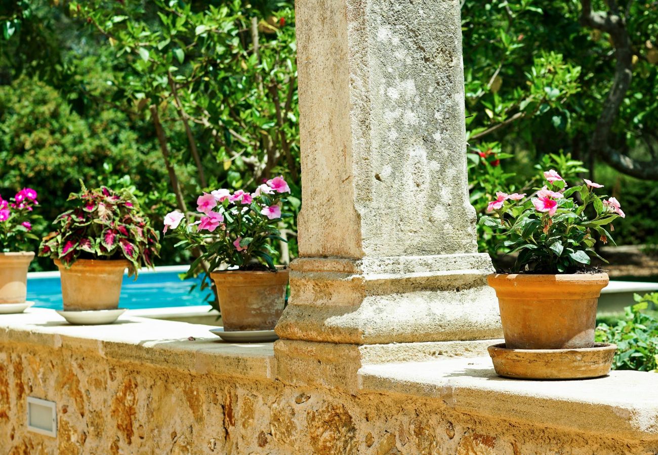 Villa en Pollensa - PUNXA. Acogedora casa rústica mallorquina próxima al pueblo