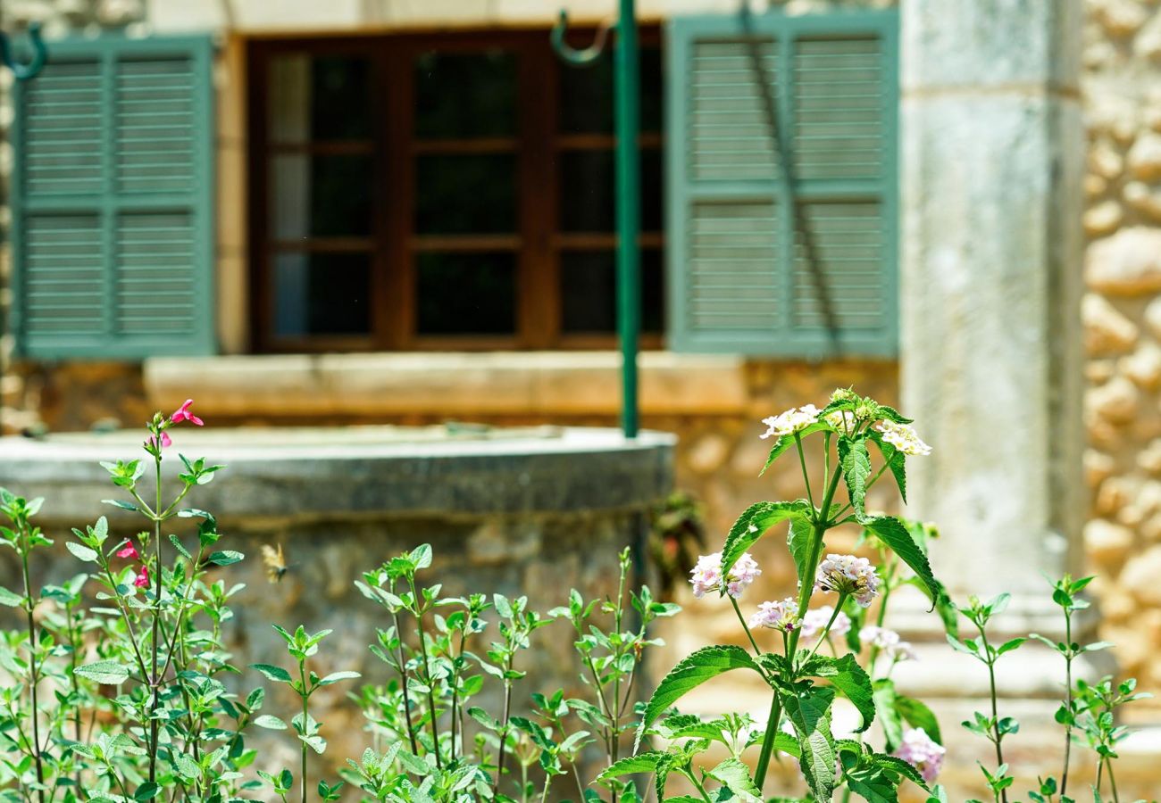 Villa en Pollensa - PUNXA. Acogedora casa rústica mallorquina en Pollensa