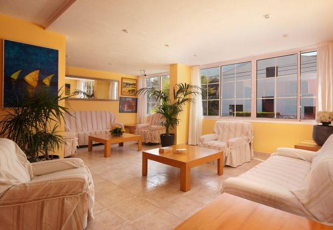 Apartamento en Cala San Vicente - PINOS ALTOS 05. Bonito apartamento de 1 habitación en Cala San Vicenç Apartamento en Cala San Vicente - PINOS ALTOS 05. Bonito apartamento de 1 habitación en Cala San Vicenç