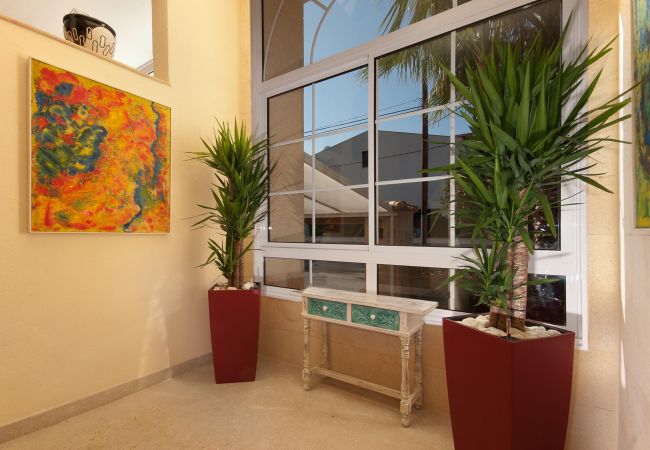 Apartamento en Cala San Vicente - PINOS ALTOS 07. Agradable apartamento de 1 habitación Apartamento en Cala San Vicente - PINOS ALTOS 07. Agradable apartamento de 1 habitación