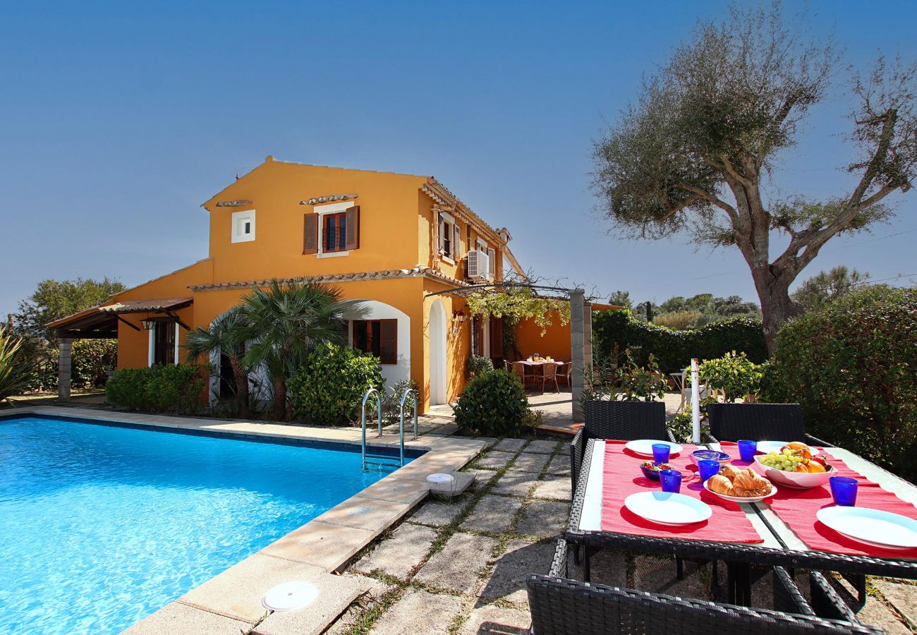 Villa en Pollensa - MARINA NOVA. Un jardín que hará las delicias de jóvenes y adultos