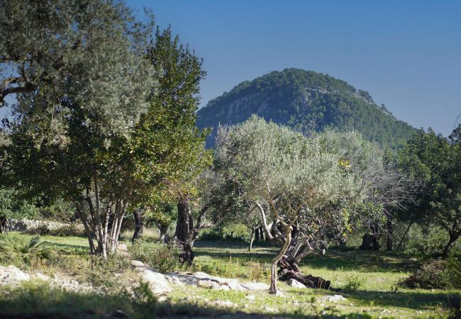 Villa en Pollensa - ALORDES. Tradición y vistas junto a Pollensa. Villa en Pollensa - ALORDES. Tradición y vistas junto a Pollensa.