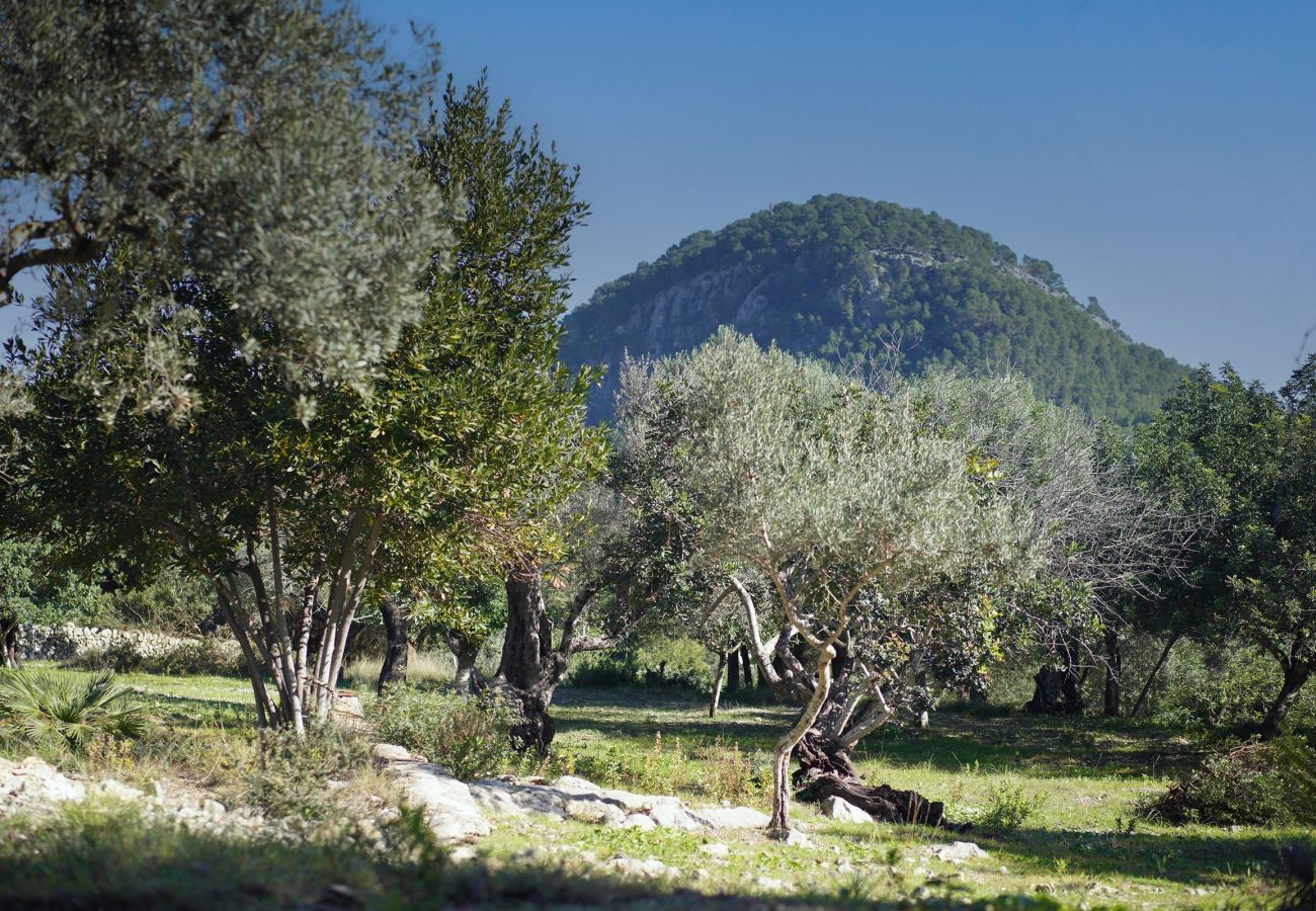 Villa en Pollensa - ALORDES. Tradición y vistas junto a Pollensa.