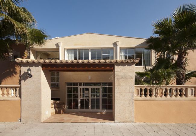 Apartamento en Cala San Vicente - PINOS ALTOS 08. Apartamento en la bonita zona de Cala San Vicenç Apartamento en Cala San Vicente - PINOS ALTOS 08. Apartamento en la bonita zona de Cala San Vicenç