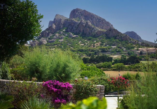 Villa en Puerto Pollensa - BOQUER PETIT (PIEDRA). Rodeada de naturaleza, pero cerca del Pto. Pollensa Villa en Puerto Pollensa - BOQUER PETIT (PIEDRA). Rodeada de naturaleza, pero cerca del Pto. Pollensa