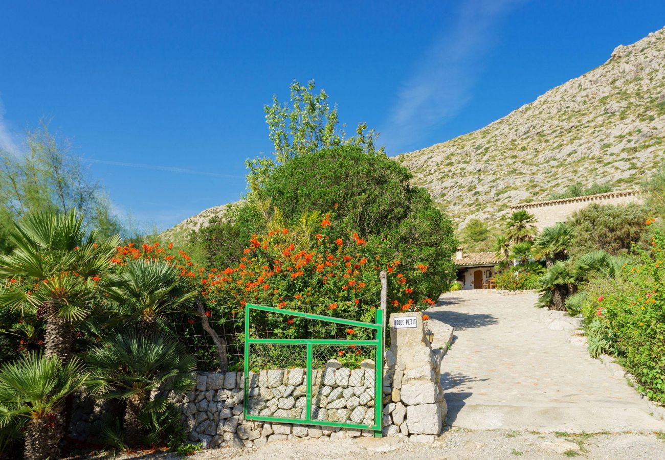 Villa en Puerto Pollensa - PIEDRA. Rodeada de naturaleza, pero cerca del Pto. Pollensa