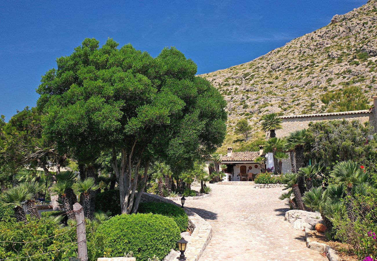 Villa en Puerto Pollensa - BOQUER PETIT (PIEDRA). Rodeada de naturaleza, pero cerca del Pto. Pollensa