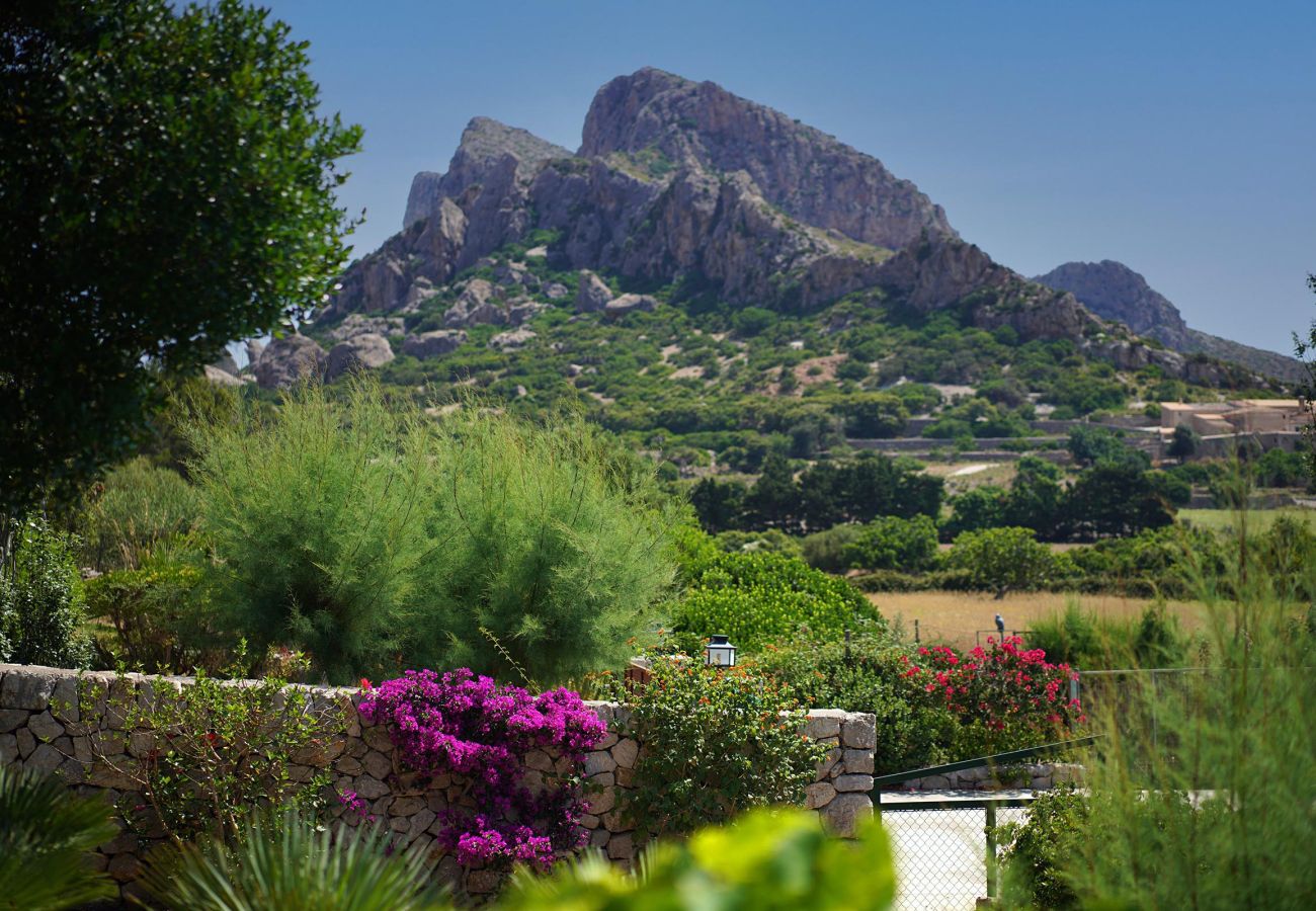 Villa en Puerto Pollensa - BOQUER PETIT (PIEDRA). Rodeada de naturaleza, pero cerca del Pto. Pollensa