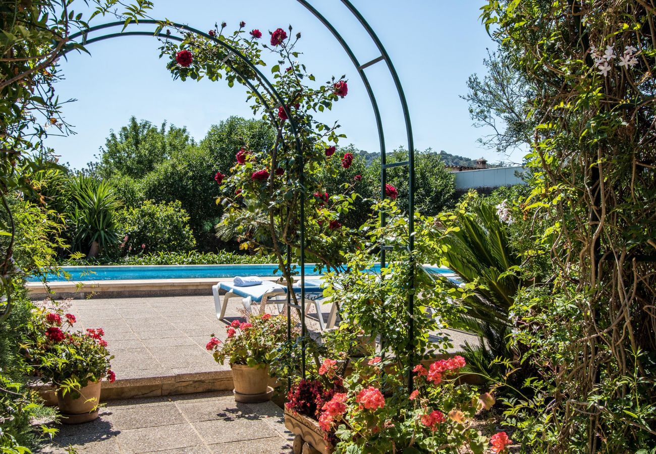 Villa en Pollensa - PANADA. Enorme barbacoa cubierta y a menos de 300 mts del supermercado