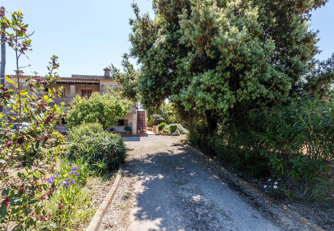 Villa en Pollensa - PANADA. Enorme barbacoa cubierta y a menos de 300 mts del supermercado