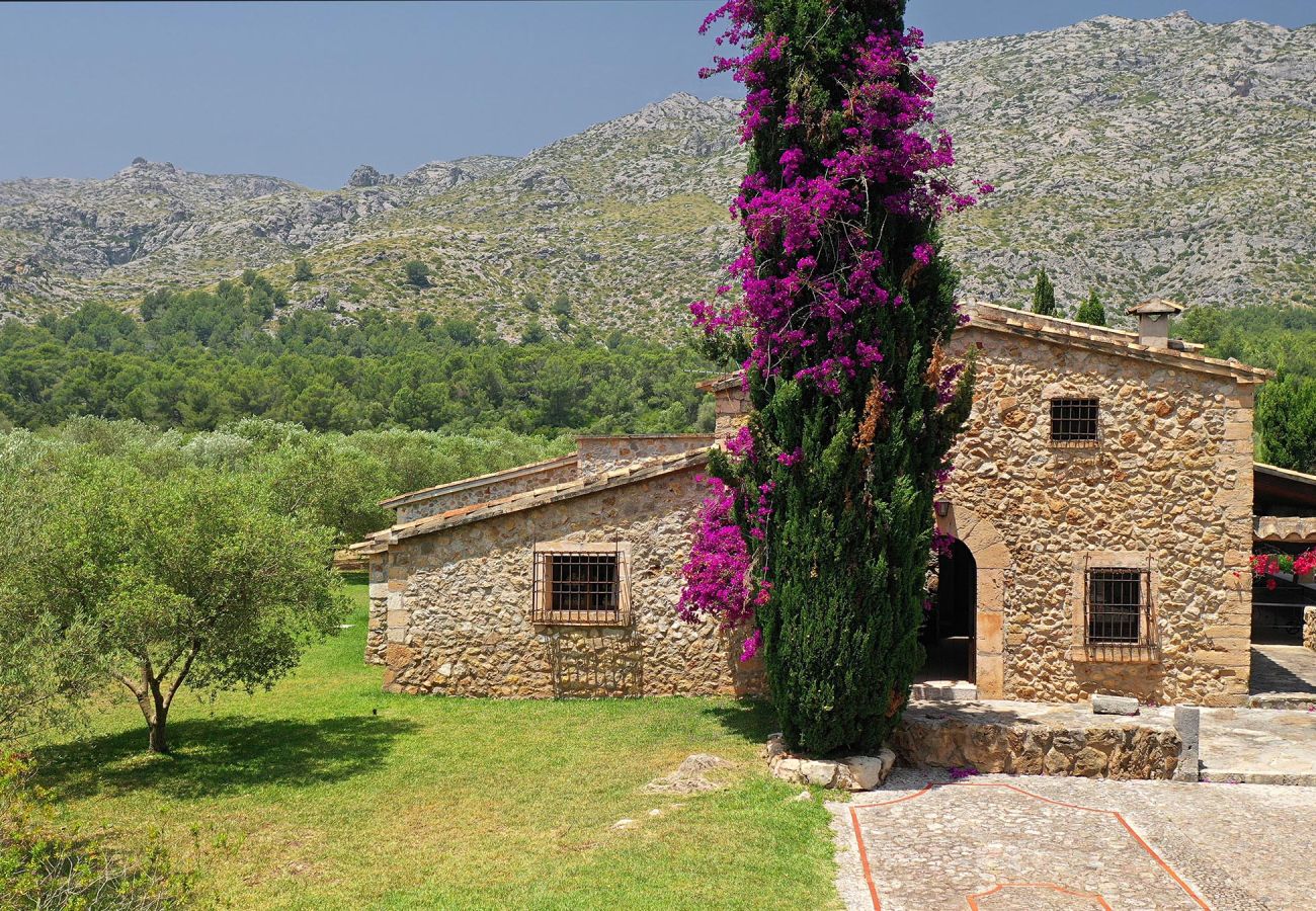 Villa en Cala San Vicente - MARTORELLET. Encantadora villa cerca de Cala San Vicente