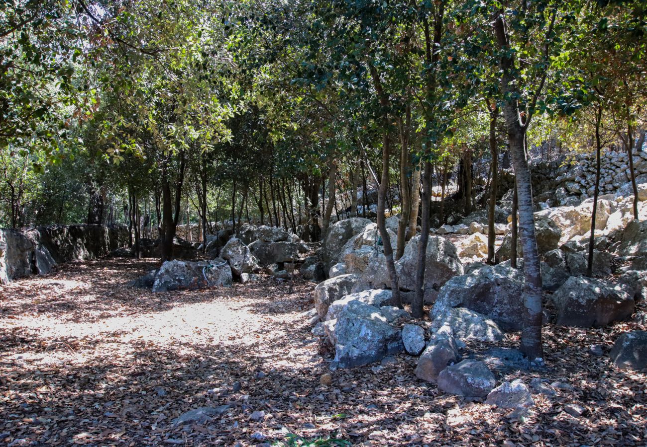 Villa en Pollensa - PLOMERA - Una opción excelente