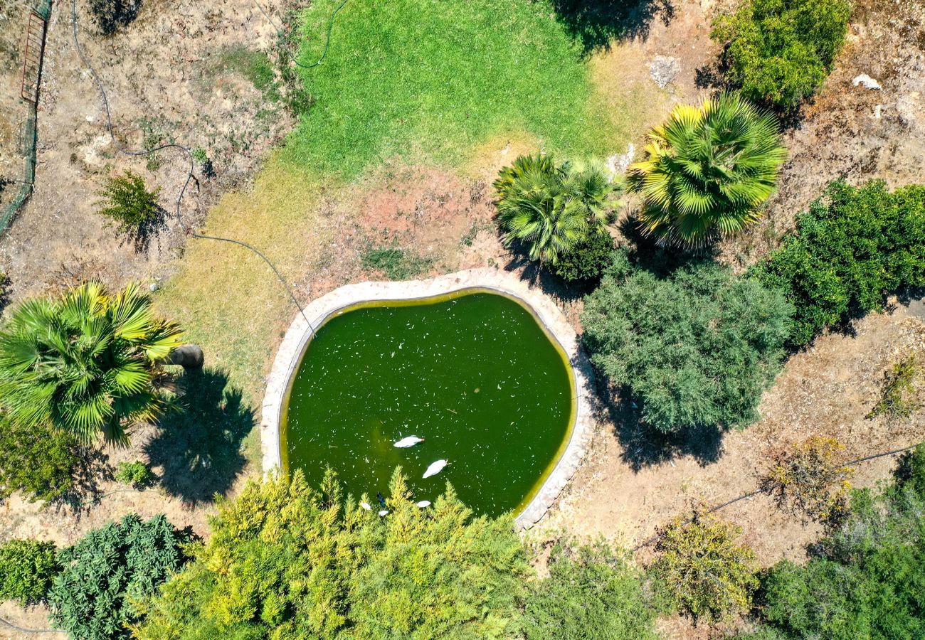 Villa en Pollensa - PLOMERA - Una opción excelente