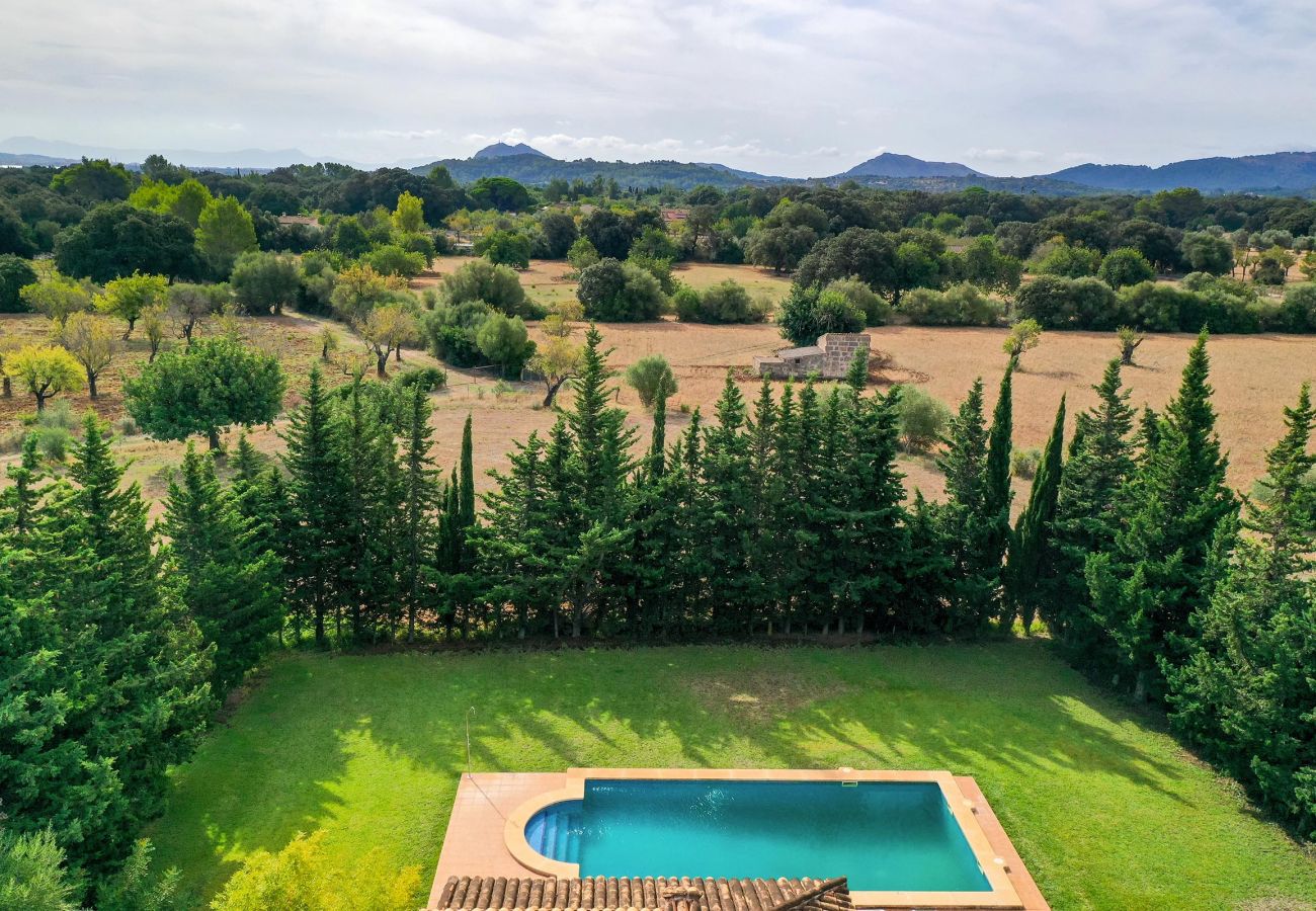 Villa en Pollensa - PUNTA COLET. Gran piscina y espacioso jardín para una diversión sin fin