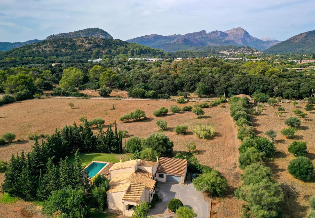 Villa en Pollensa - PUNTA COLET. Gran piscina y espacioso jardín para una diversión sin fin