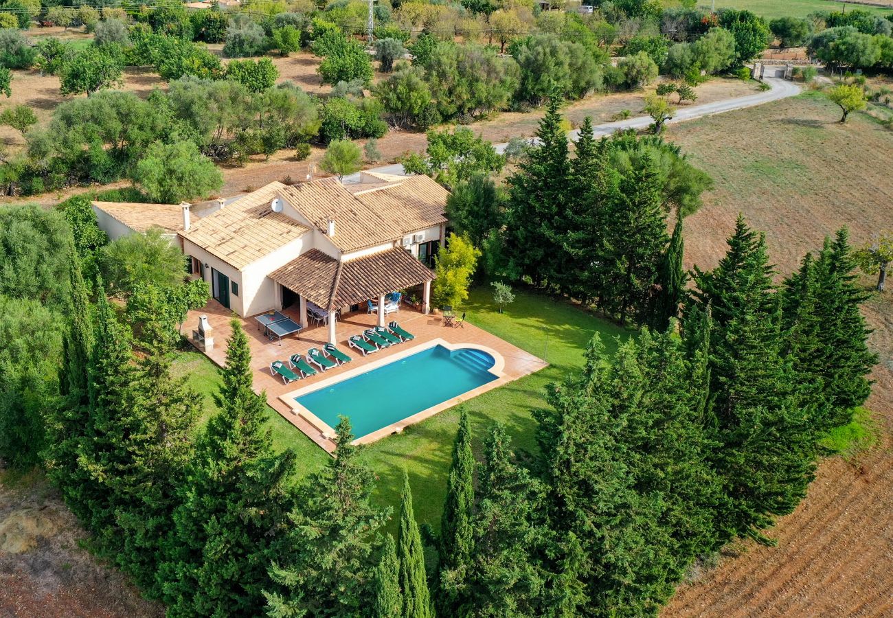 Villa en Pollensa - PUNTA COLET. Gran piscina y espacioso jardín para una diversión sin fin
