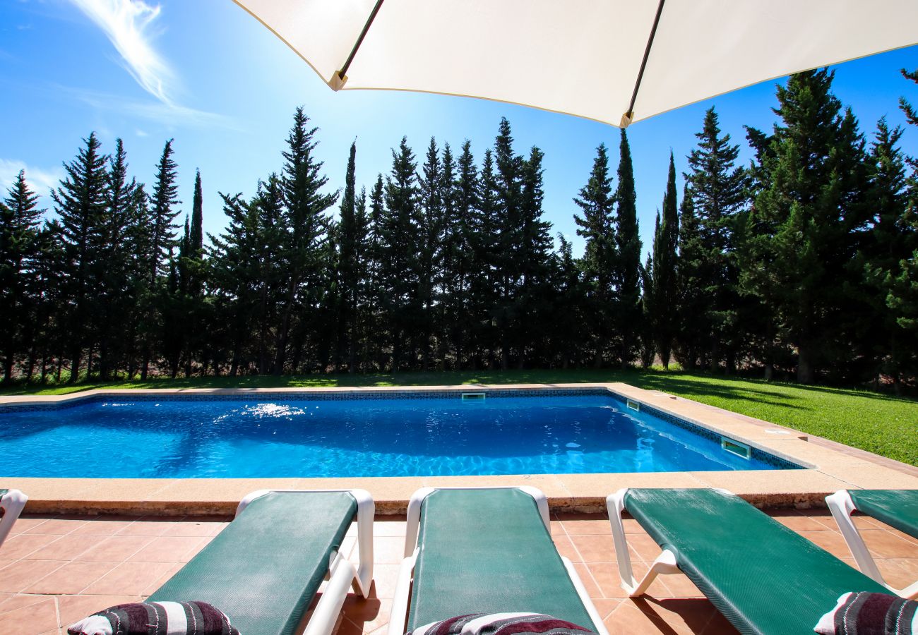Villa en Pollensa - PUNTA COLET. Gran piscina y espacioso jardín para una diversión sin fin