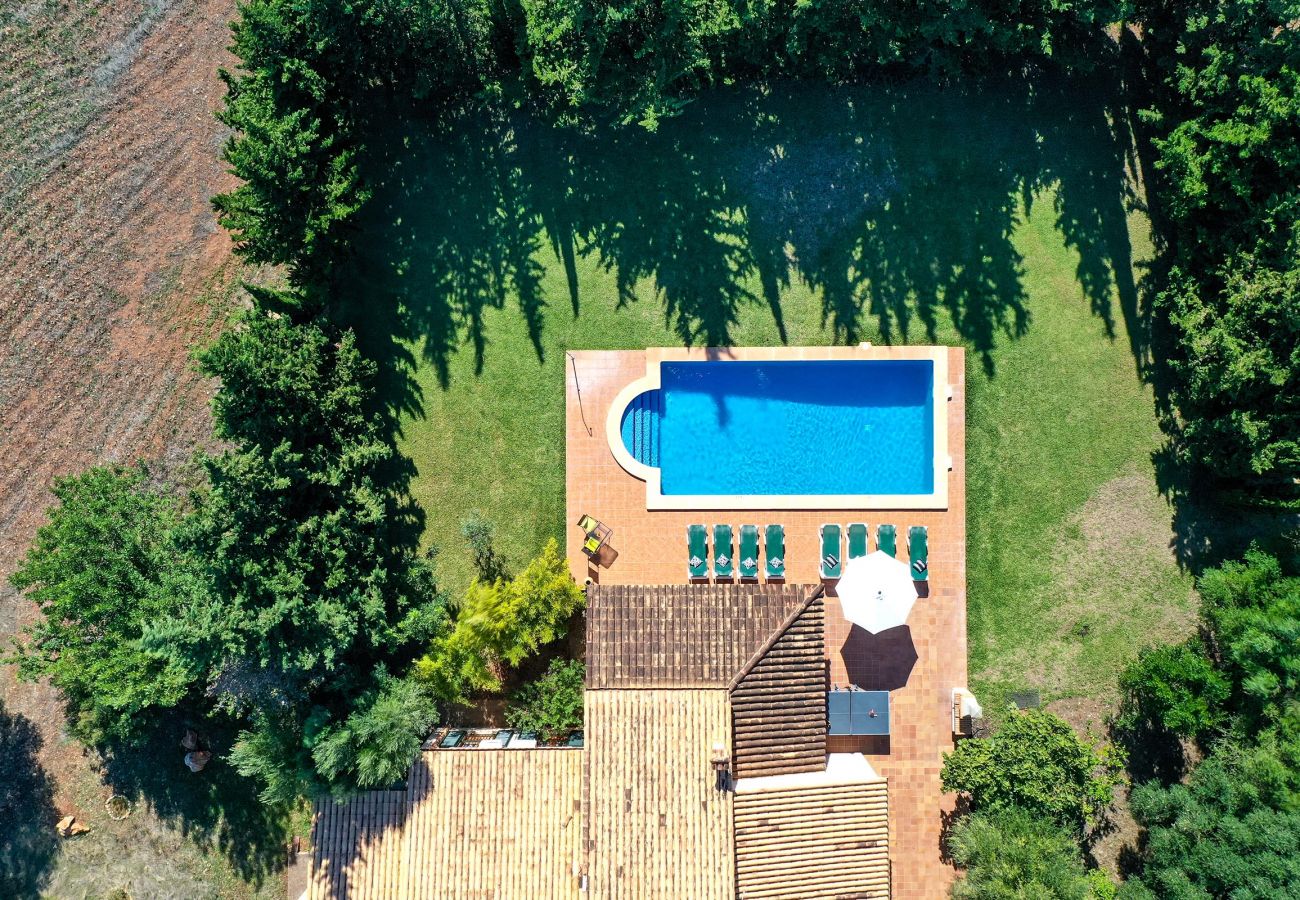 Villa en Pollensa - PUNTA COLET. Gran piscina y espacioso jardín para una diversión sin fin