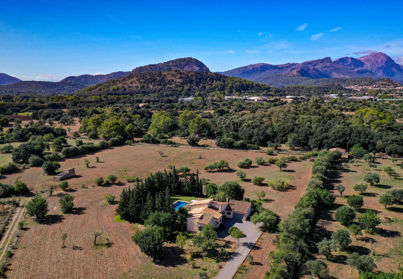Villa en Pollensa - PUNTA COLET. Gran piscina y espacioso jardín para una diversión sin fin