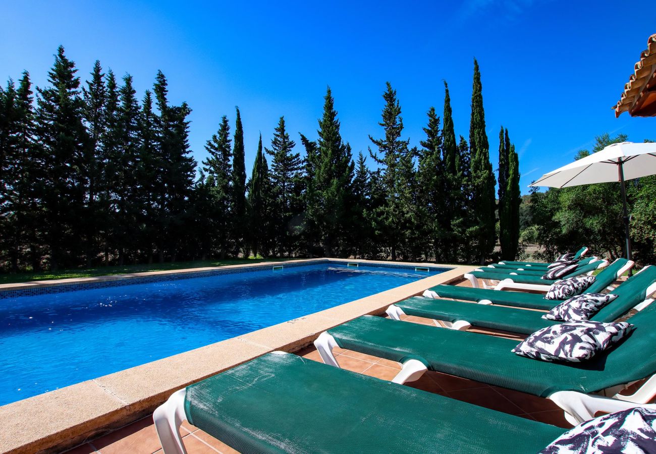 Villa en Pollensa - PUNTA COLET. Gran piscina y espacioso jardín para una diversión sin fin