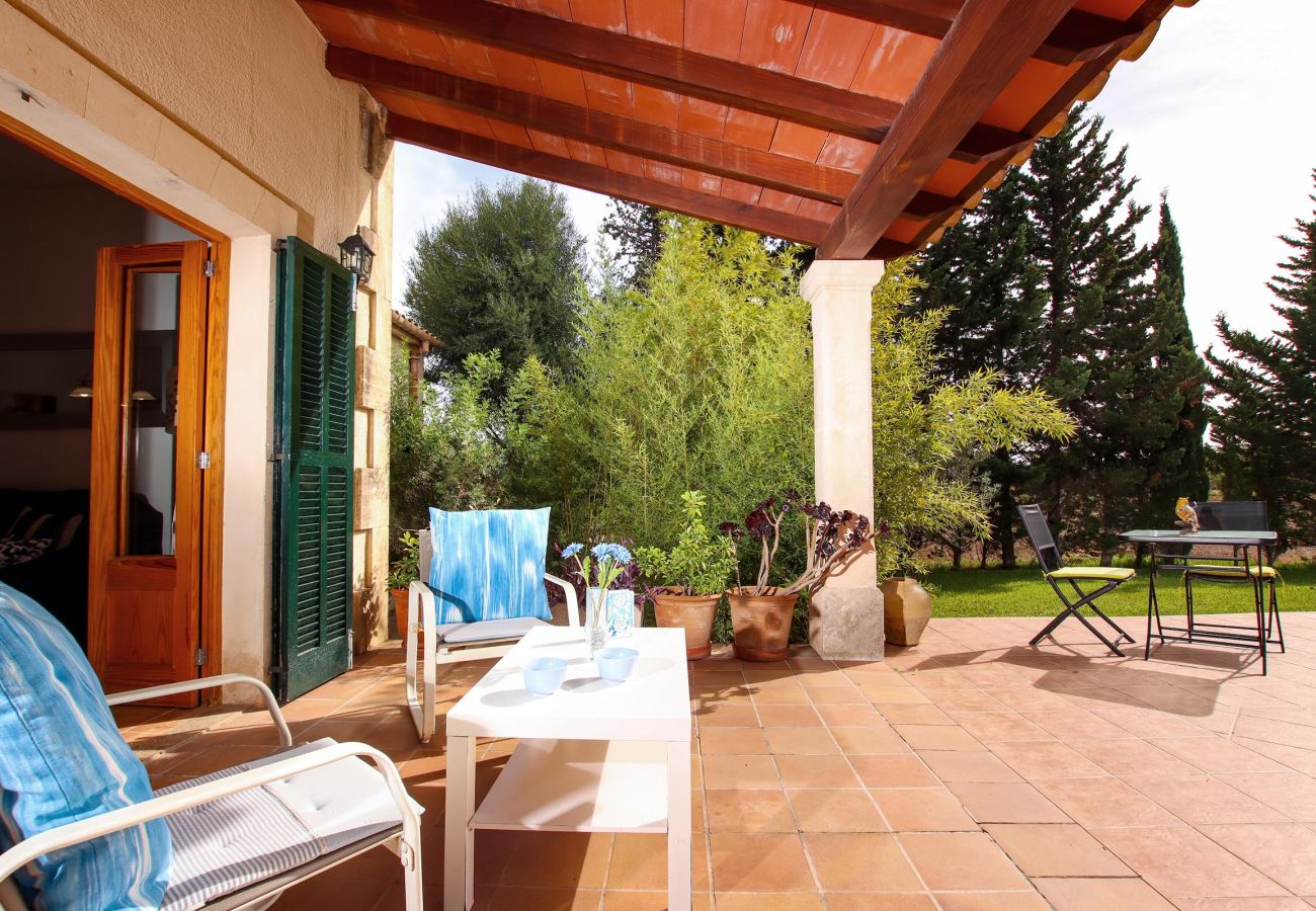 Villa en Pollensa - PUNTA COLET. Gran piscina y espacioso jardín para una diversión sin fin