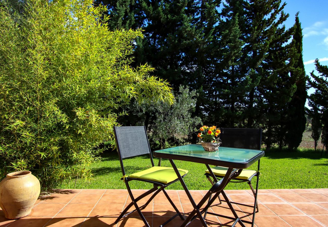 Villa en Pollensa - PUNTA COLET. Gran piscina y espacioso jardín para una diversión sin fin