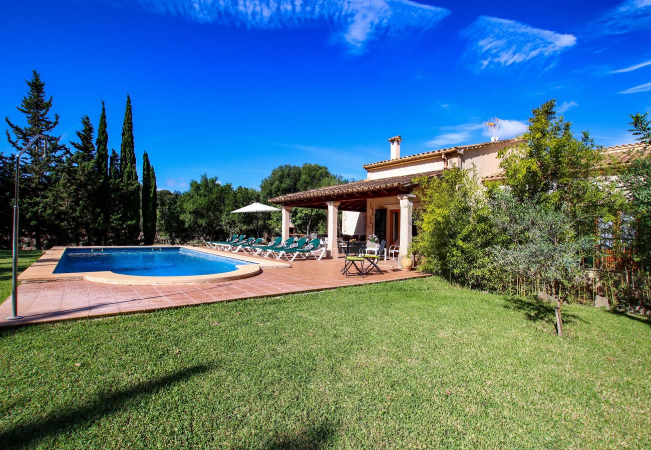 Villa en Pollensa - PUNTA COLET. Gran piscina y espacioso jardín para una diversión sin fin