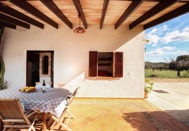 Villa en Puerto Pollensa - FONTXICA (JUANITO). Bonita y coqueta villa  Villa en Puerto Pollensa - FONTXICA (JUANITO). Bonita y coqueta villa