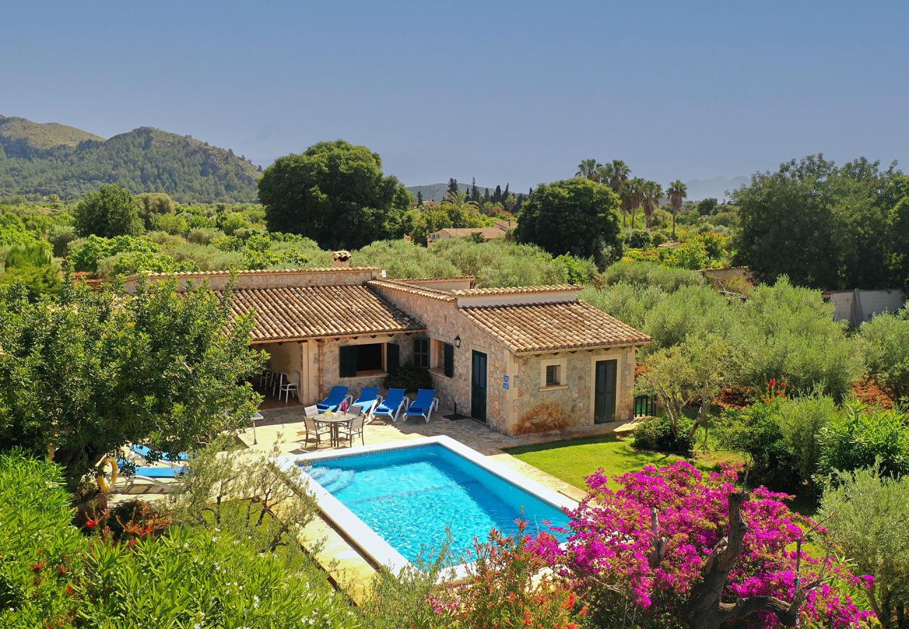 Villa en Pollensa - OLIVERES. Tranquilidad próxima al pueblo de Pollensa