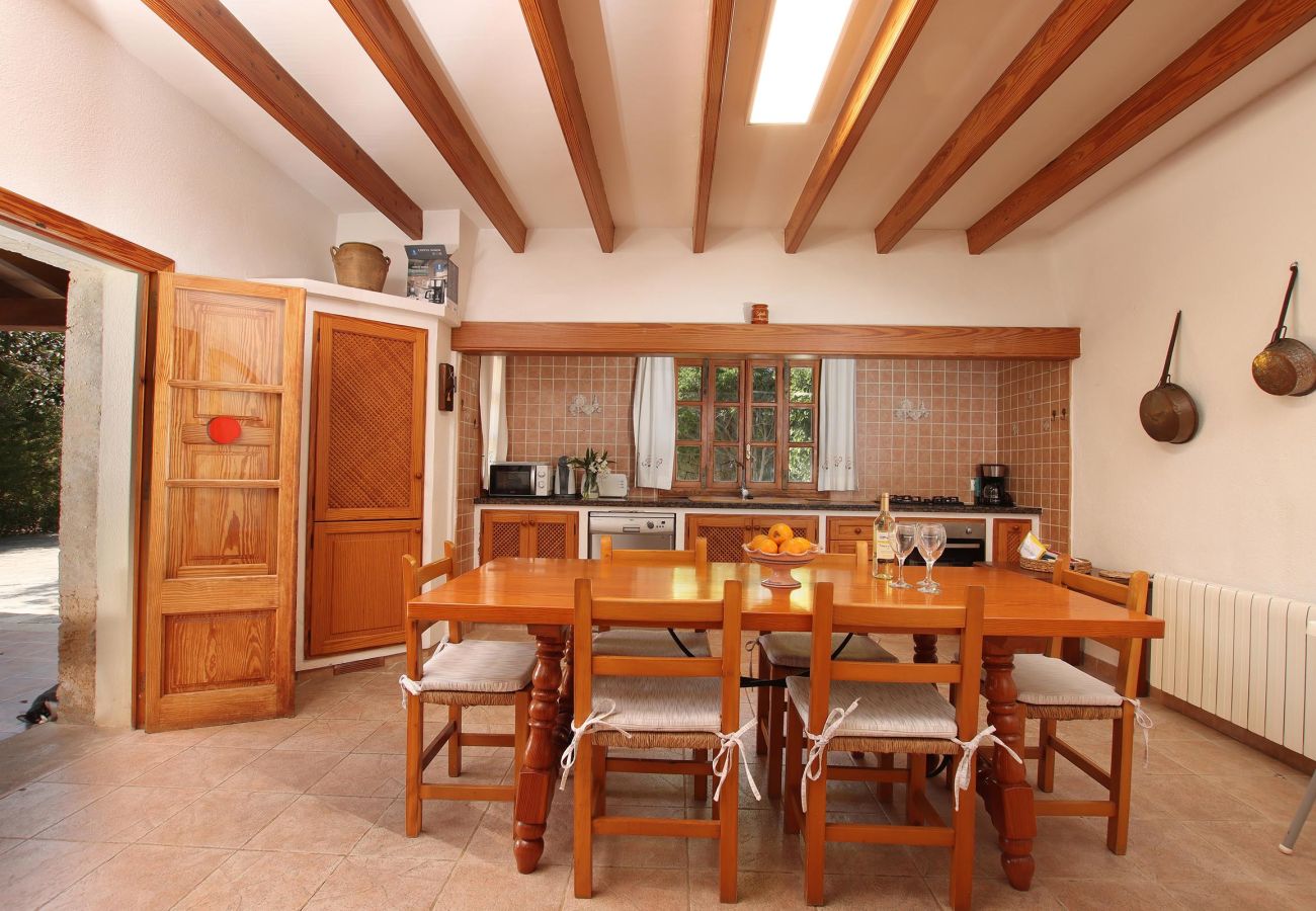 Villa en Pollensa - LES PALMERES (LLEIDA). Tranquilidad y relax