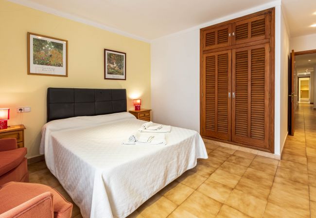 Apartment in Puerto Pollensa - DANIELA. Fabulous location overlooking the beach! Apartment in Puerto Pollensa - DANIELA. Fabulous location overlooking the beach!