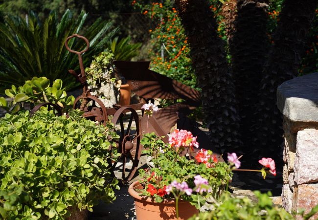 Villa in Pollensa - CAMP REDO. Beautiful villa close to Pollensa Villa in Pollensa - CAMP REDO. Beautiful villa close to Pollensa