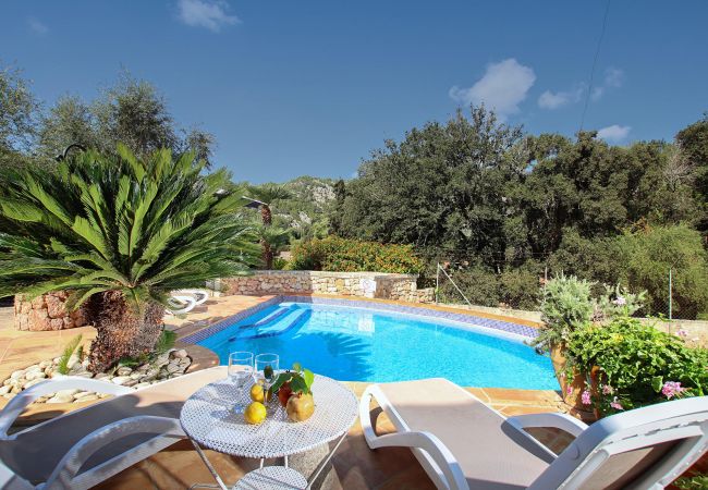 Villa in Pollensa - CAMP REDO. Beautiful villa close to Pollensa Villa in Pollensa - CAMP REDO. Beautiful villa close to Pollensa
