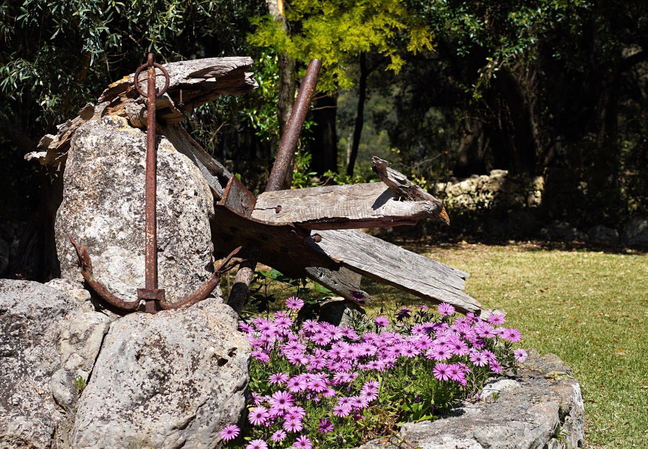 Villa in Pollensa - PORQUERES. Charming house near Pollensa