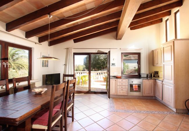 Villa in Pollensa - LLOP. Magnificent villa with sauna Villa in Pollensa - LLOP. Magnificent villa with sauna