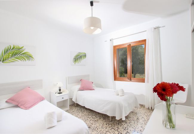 Villa in Puerto Pollensa - LA VINYA CAN OLIVER ( OLIVER ). Country house located between Pollensa and Pto. Pollensa Villa in Puerto Pollensa - LA VINYA CAN OLIVER ( OLIVER ). Country house located between Pollensa and Pto. Pollensa