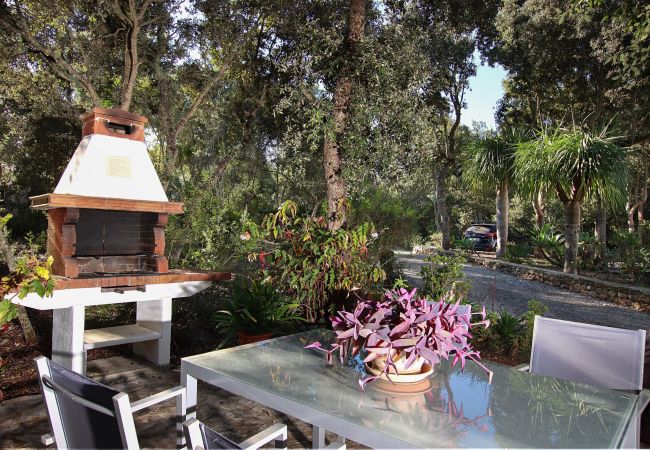 Villa in Pollensa - CAN MORANTA (PEDRO MONJO). Complete peace-of-mind among woods Villa in Pollensa - CAN MORANTA (PEDRO MONJO). Complete peace-of-mind among woods