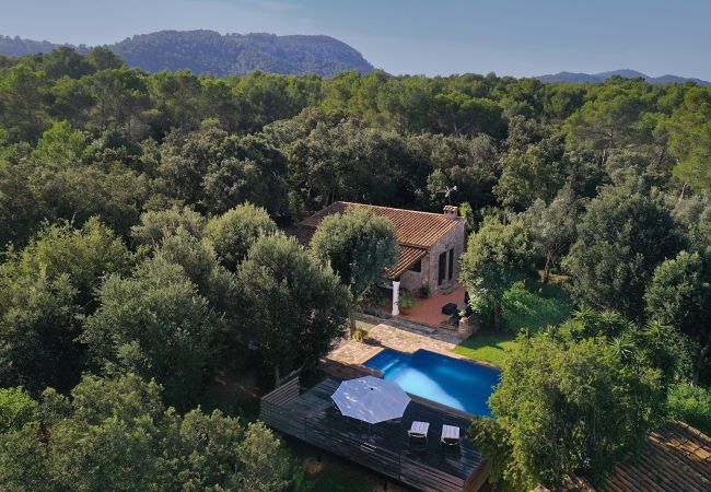 Villa in Pollensa - CAN MORANTA (PEDRO MONJO). Complete peace-of-mind among woods Villa in Pollensa - CAN MORANTA (PEDRO MONJO). Complete peace-of-mind among woods