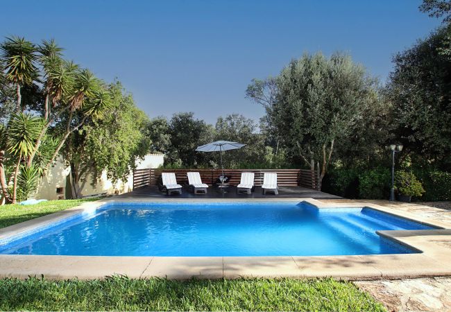 Villa in Pollensa - CAN MORANTA (PEDRO MONJO). Complete peace-of-mind among woods Villa in Pollensa - CAN MORANTA (PEDRO MONJO). Complete peace-of-mind among woods