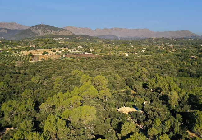 Villa in Pollensa - CAN MORANTA (PEDRO MONJO). Complete peace-of-mind among woods Villa in Pollensa - CAN MORANTA (PEDRO MONJO). Complete peace-of-mind among woods