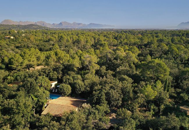 Villa in Pollensa - CAN MORANTA (PEDRO MONJO). Complete peace-of-mind among woods Villa in Pollensa - CAN MORANTA (PEDRO MONJO). Complete peace-of-mind among woods