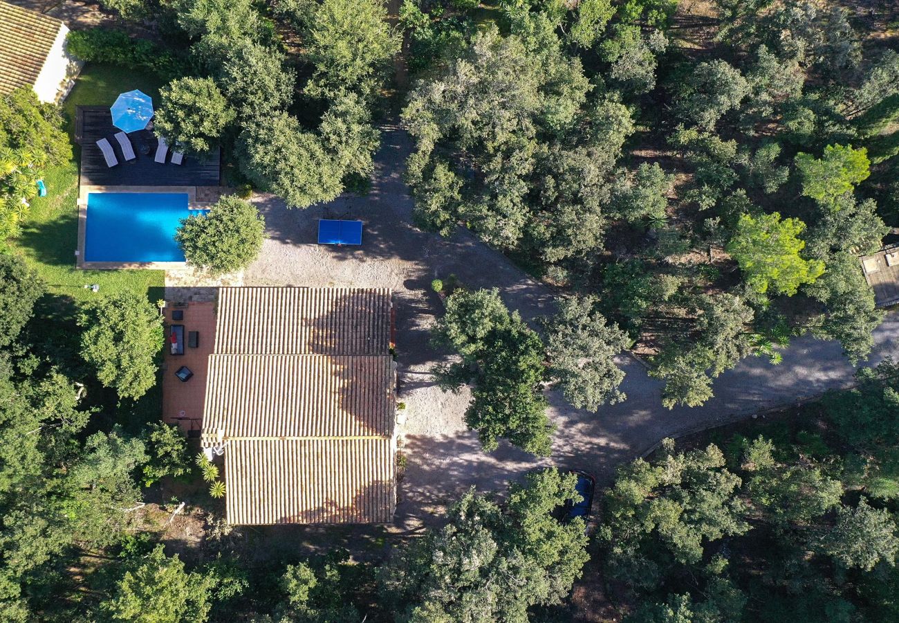 Villa in Pollensa - PEDRO MONJO. Complete peace-of-mind among woods