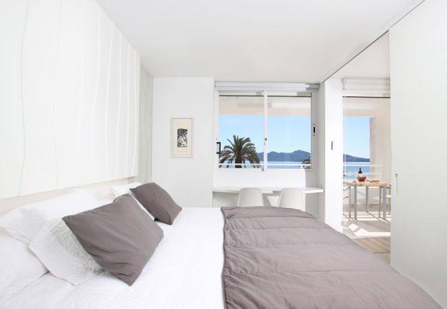 Apartment in Puerto Pollensa - SIVELLA. Front-line studio located in Puerto Pollensa Apartment in Puerto Pollensa - SIVELLA. Front-line studio located in Puerto Pollensa