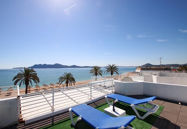 Apartment in Puerto Pollensa - SIVELLA. Front-line studio located in Puerto Pollensa Apartment in Puerto Pollensa - SIVELLA. Front-line studio located in Puerto Pollensa