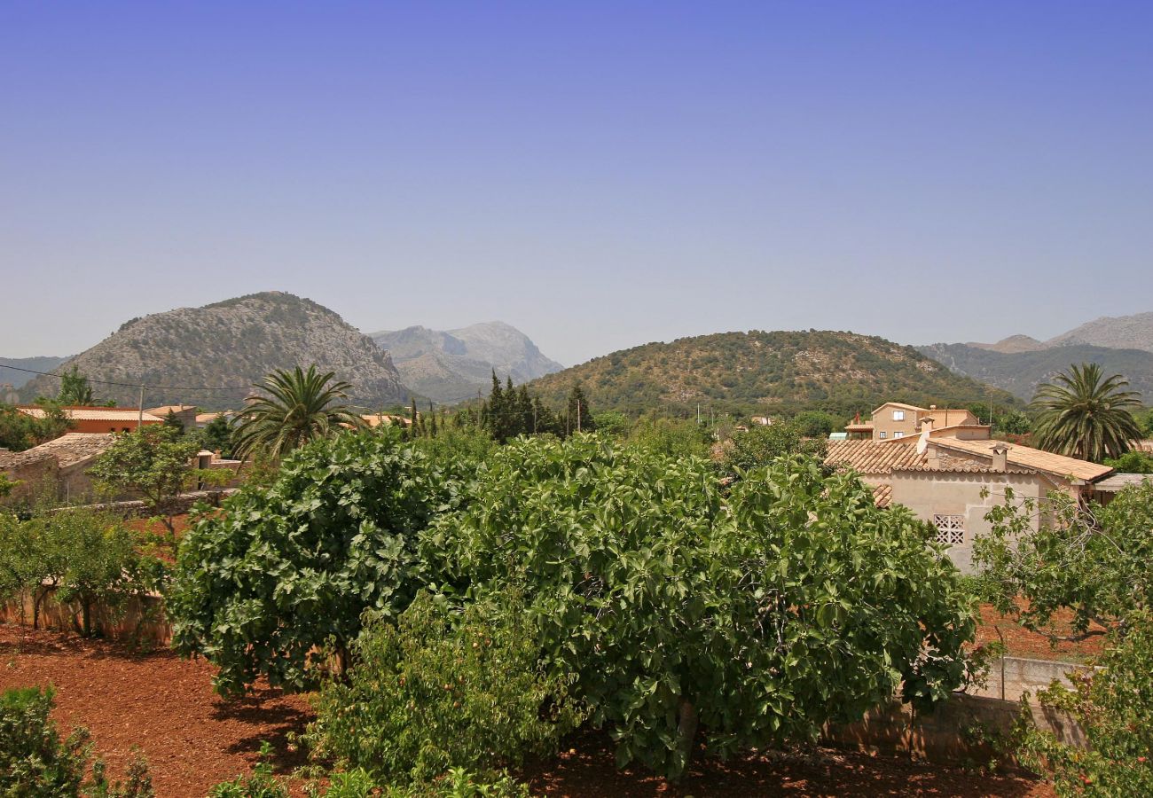 Villa in Pollensa - JAUME. Cozy house in a quiet rural area in Pollensa